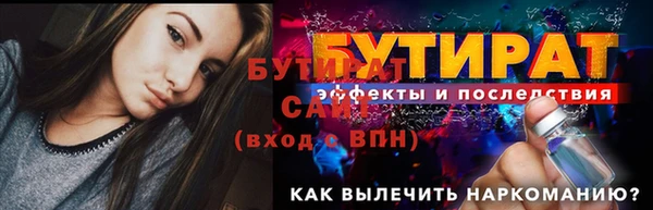 шишки Магас