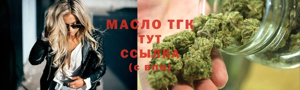 шишки Магас