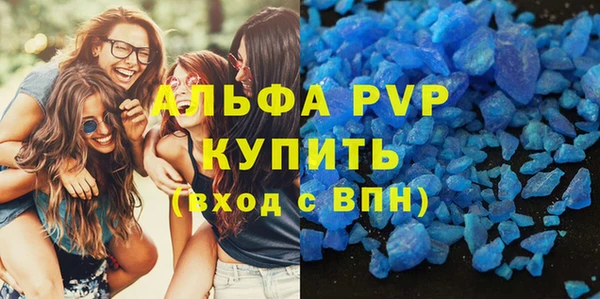 шишки Магас