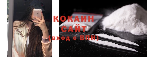 шишки Магас