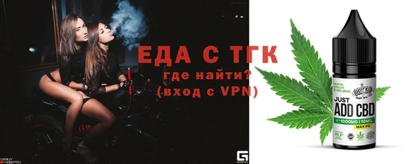 шишки Магас