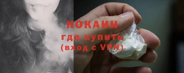 шишки Магас