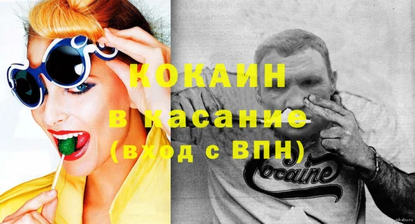 шишки Магас