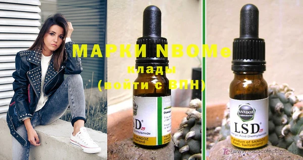 шишки Магас