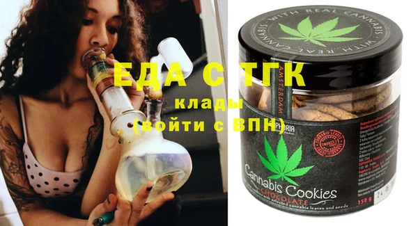 шишки Магас
