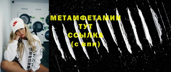 шишки Магас